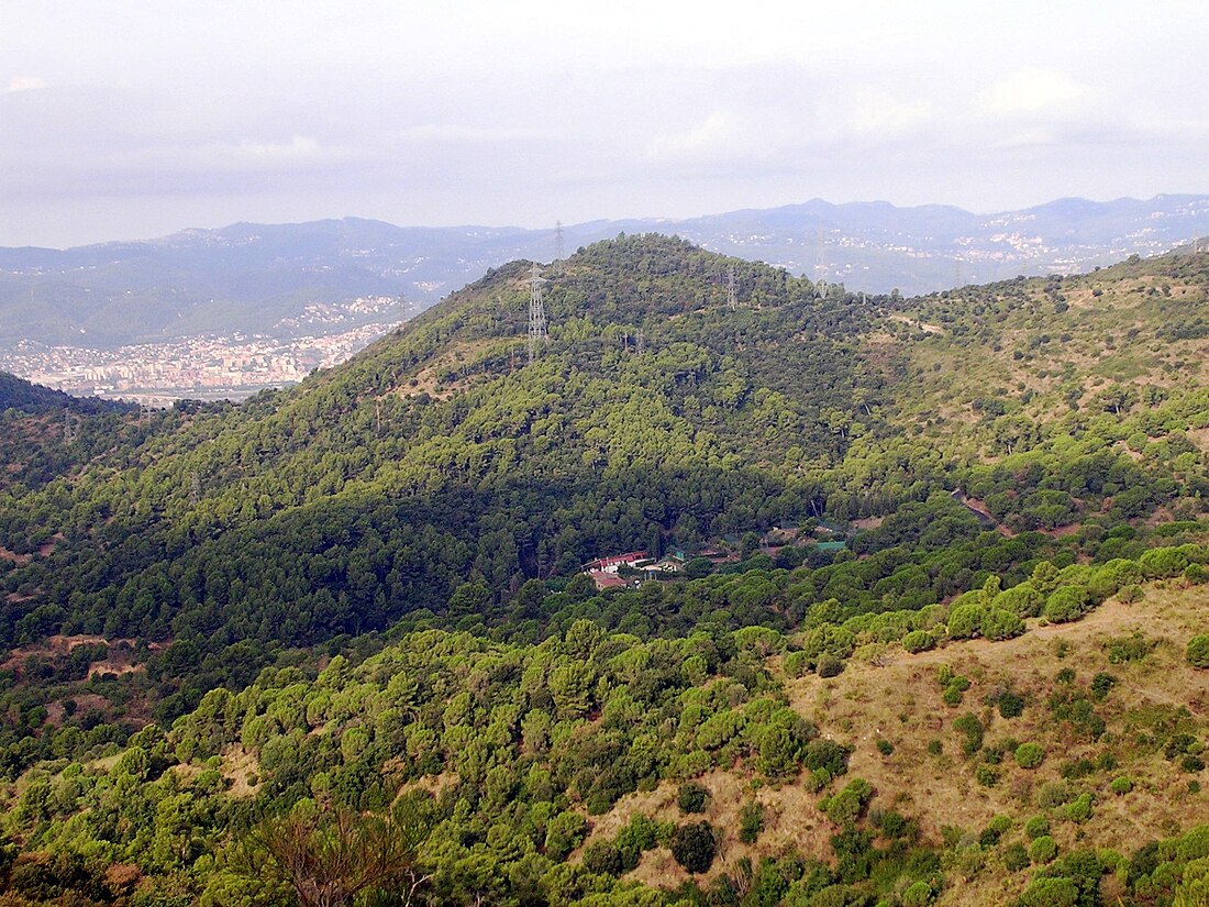 Parc Natural de Collserola