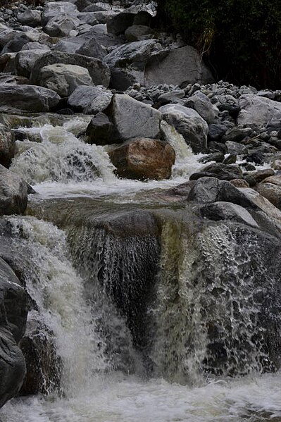 File:UG Rwenzori NP (42) (17240437866).jpg