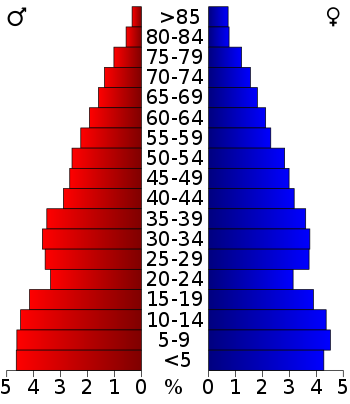 USA Val Verde County, Texas age pyramid.svg