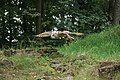 Deutsch: Westsibirische Uhu (Bubo bubo sibiricus) im Wildpark Bad Mergentheim