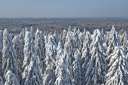 Vaade Suure Munamäe vaatetornist (2013)