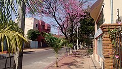 Vista de la calle Antequera - Luque - panoramio.jpg