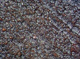 Частицы вюстита на поверхности метеорита (Сихотэ-Алинский метеорит, Приморский край, Россия)
