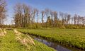 Wateruitloop Bekhofplas. Locatie, natuurterrein Beekdal Linde Bekhofplas.