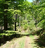 Krumbachtal (Pfalz)