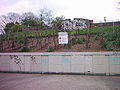 Ehemalige Weinreben-Bepflanzung auf dem Geesthang (2007)