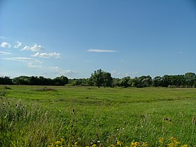 Wet meadow in Szigetkoz, Hungary.jpg