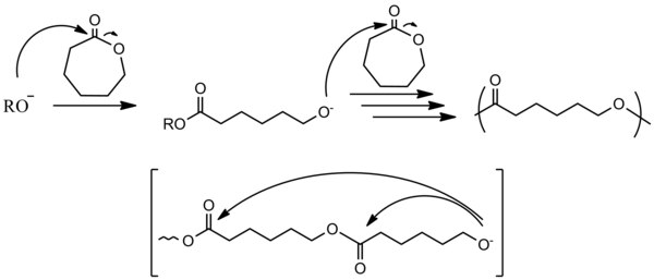 The anionic ring-opening polymerization of e-caprolactone, initiated by alkoxide Wiki65656.tif