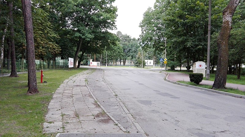 File:Zakładowa Street in Pionki, 2017.07.28 (01).jpg