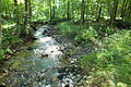 English: Zelenský luh, nature reserve in the Šumava mountains, the Czech Republic. Čeština: Zelenský luh, přírodní rezervace v CHKO Šumava.