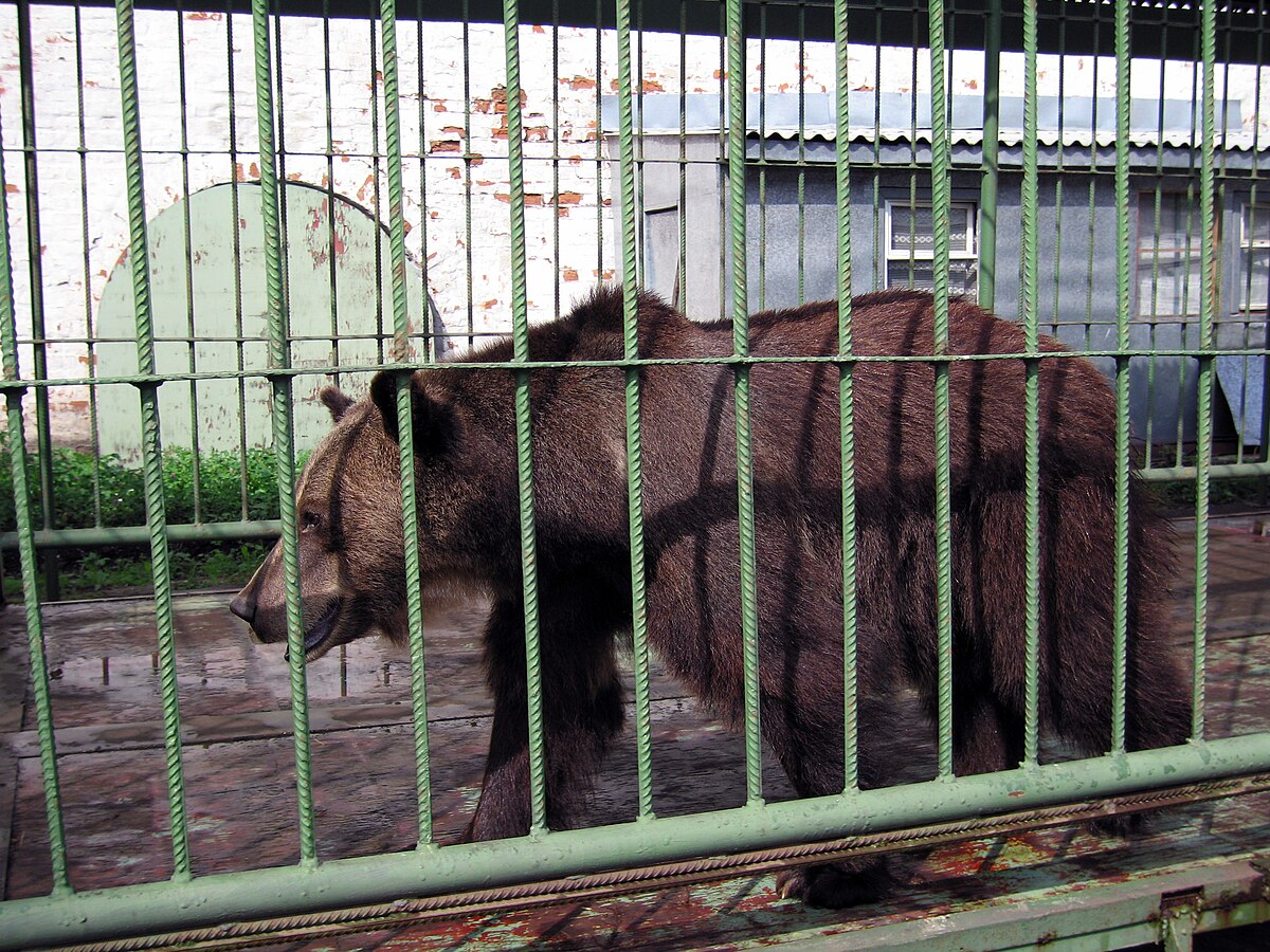 чайковский зоопарк