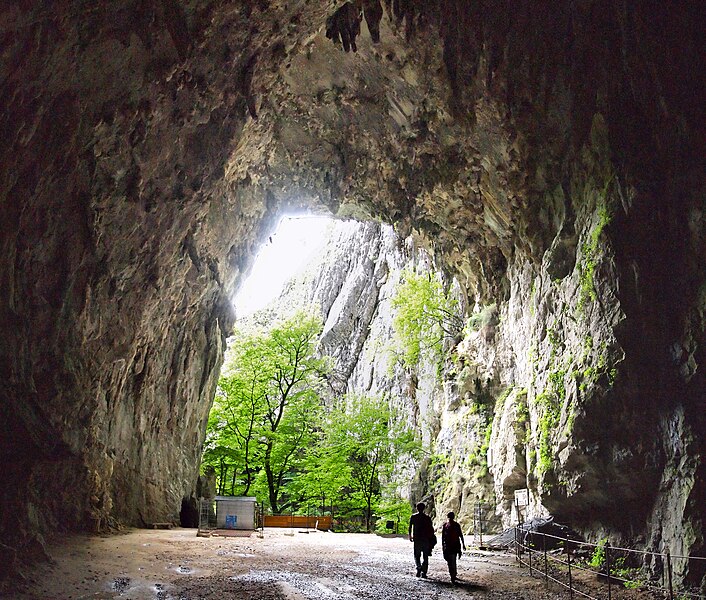 File:Škocjan cave - exit.jpg
