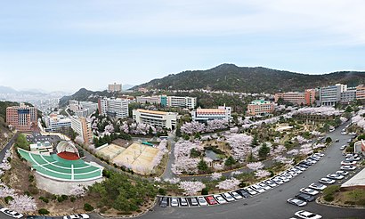 How to get to 동의대 with public transit - About the place