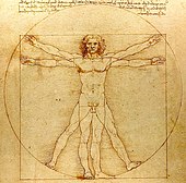 Dibujo que representa a un hombre visto en toda su longitud cuyas líneas se superponen en dos posiciones: las extremidades estiradas inscritas en un cuadrado y las extremidades extendidas inscritas en un círculo.
