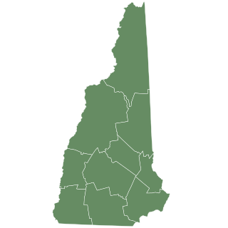 <span class="mw-page-title-main">1964 New Hampshire Democratic presidential primary</span>