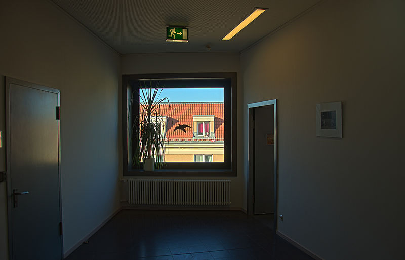 File:2011-02-21-fenster-07.jpg