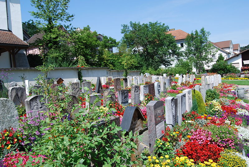 File:2011-08-21-Brunnadern (Foto Dietrich Michael Weidmann) 226.JPG