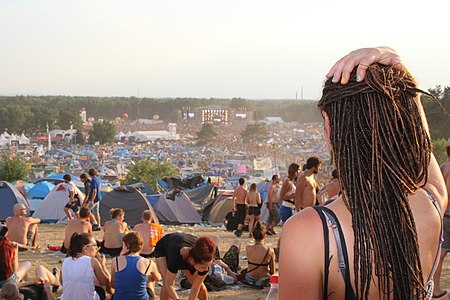 2013 Woodstock 123