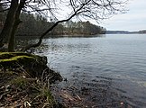 Deutsch: Tornowsee, nahe Campingplatz