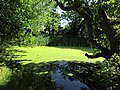 2018-07-24 Shrieking pit, Hungary Hill, Northrepps.JPG