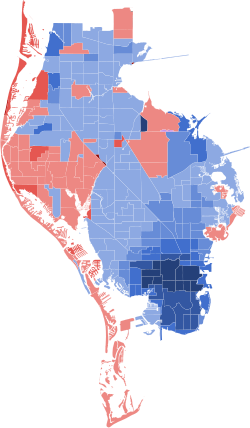 2018 Florida's 13th Congressional District Election by precinct (116th Congress).svg