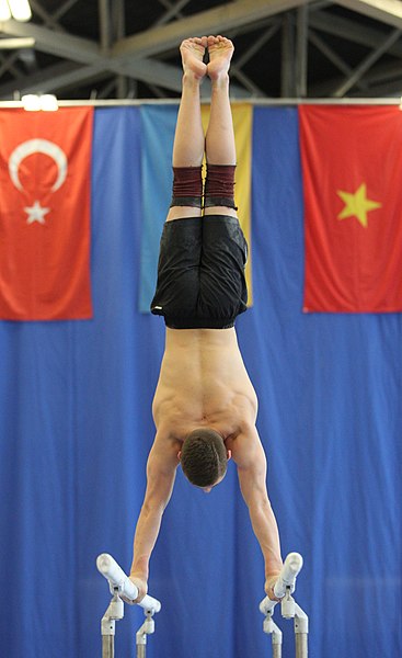 File:2019-05-24 Budapest Cup training parallel bars (Martin Rulsch) 177a.jpg