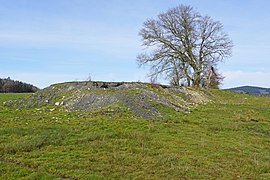 Le terril du puits Guilloux.