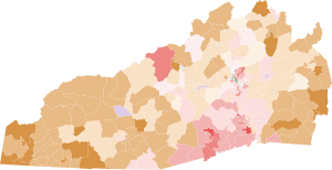 2022 United States House of Representatives election in North Carolina's 11th district, Republican primary by precinct.svg