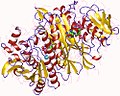 Thumbnail for Phosphoribosylformylglycinamidine synthase