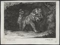 Abraham Blooteling - Various Lions - 2005.266.4 - Cleveland Museum of Art.tif