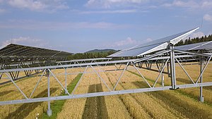 Agrivoltaics pilot plant at Heggelbach Farm in Germany 5.jpg