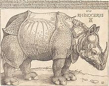 Rhinoceros (1515), National Gallery of Art (Source: Wikimedia)