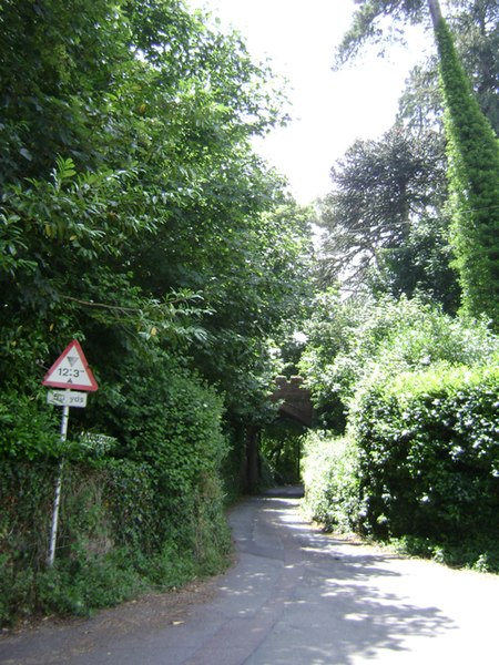 File:Aller Hill passes under Aller Arch, Dawlish - geograph.org.uk - 1382356.jpg