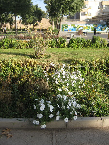 File:Amin al-Islami Park - Trees and Flowers - Nishapur 059.JPG