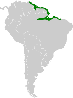 Distribución geográfica del mango gorgiverde.