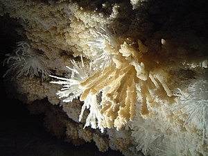 Aragonite forme karstique .