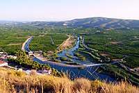 Jucar River with irrigated orange orchards near Antella Assut d'Antella.JPG