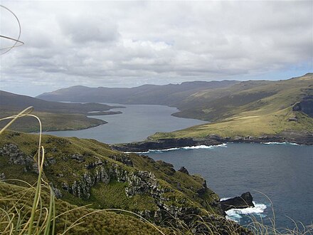 Subantarctic scenery in the Auckland Islands