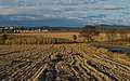 Fields and the graveyard.