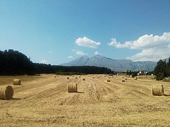 Avezzano monte Velino.jpg