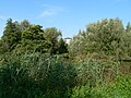 Beeld vanaf de oever van de Poldervaart in de (na)zomer.