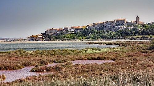 Rideau métallique Bages (11100)