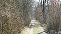 Deutsch: Bahndamm der ehemaligen Strecke Aßling-Glonn, seit 1971 geschützter Landschaftsbestandteil.