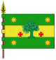 库尔蒂斯旗帜