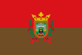 Bandera de Burgos