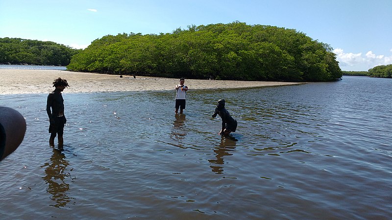 File:Banho de Lama Negra em Porto Seguro.jpg