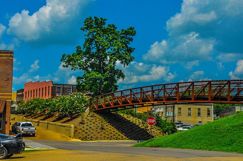 File:Bankhead Street in New Albany, Mississippi's downtown business and historic district 09.jpg