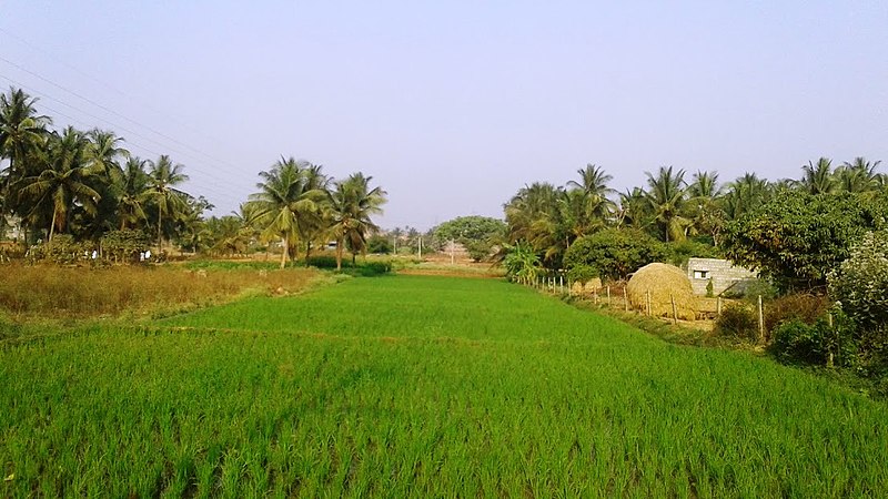 File:Belawadi village, Mysore.jpg