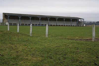 Blairgowrie F.C.