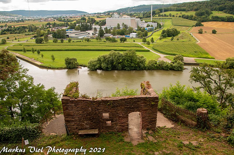 File:Blick vom Wohnturm der Burg Dauchstein auf den Neckar.jpg